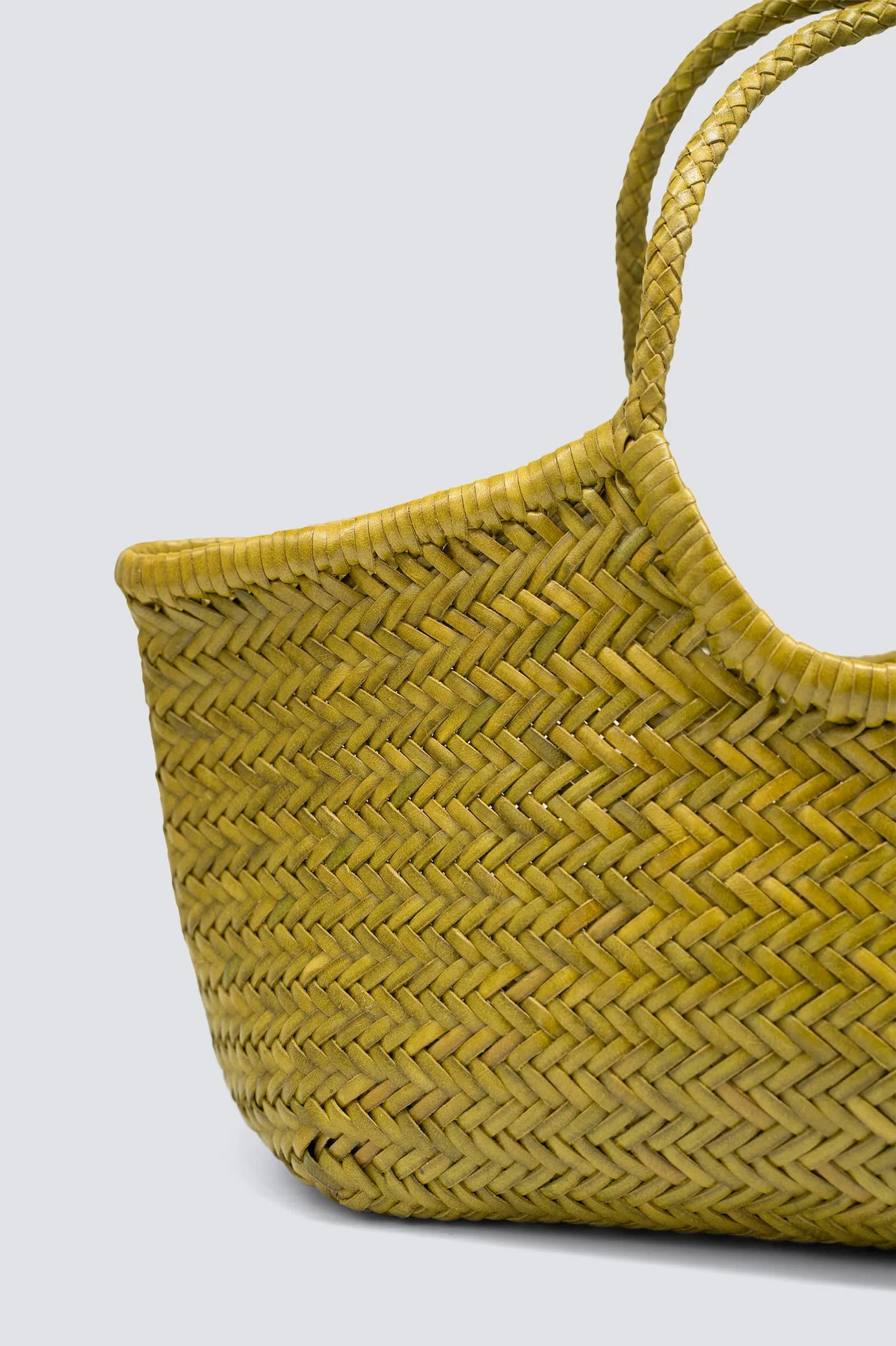 Nantucket Big Bamboo Green - Image 3