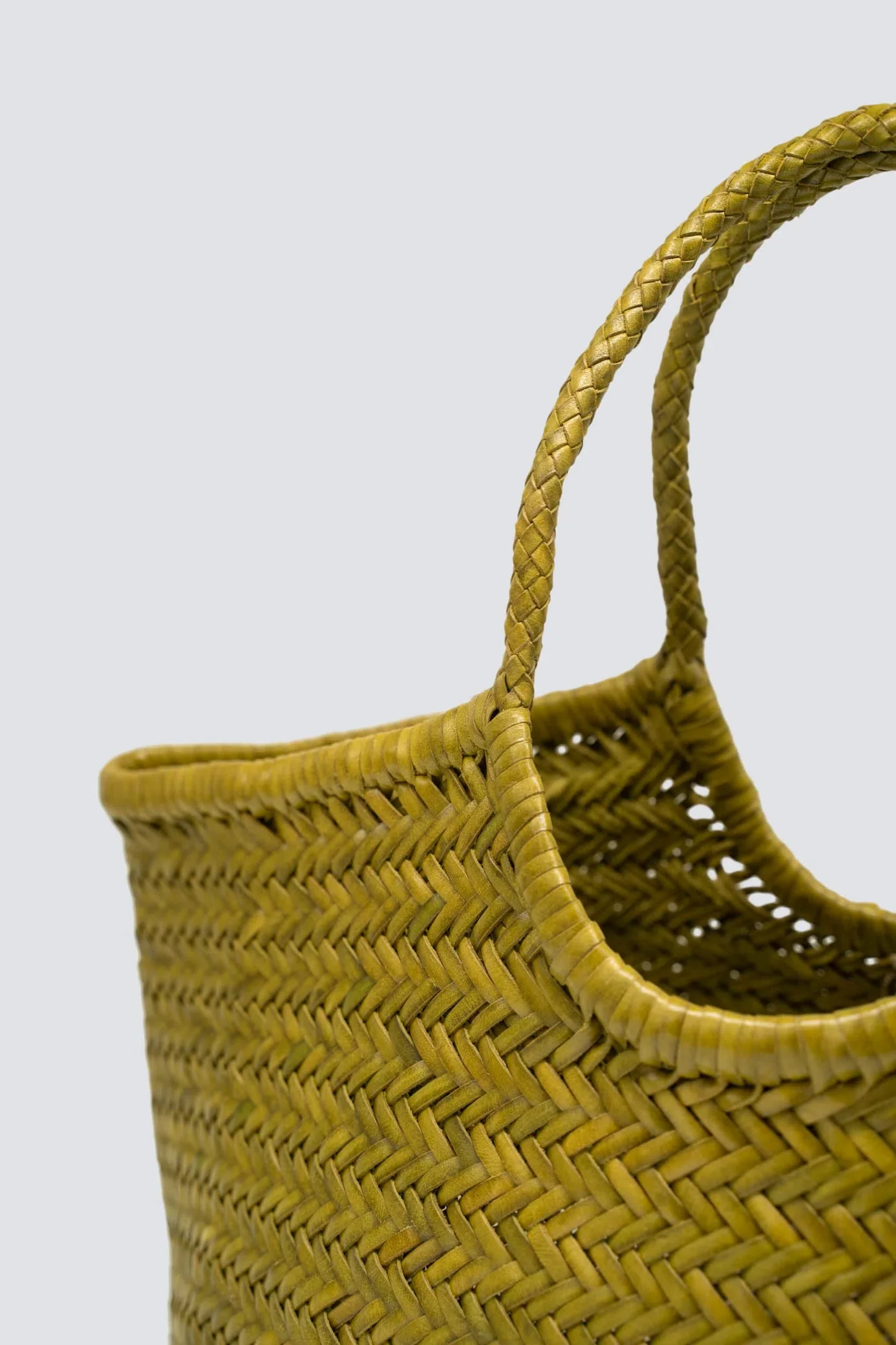 Nantucket Big Bamboo Green - Image 4
