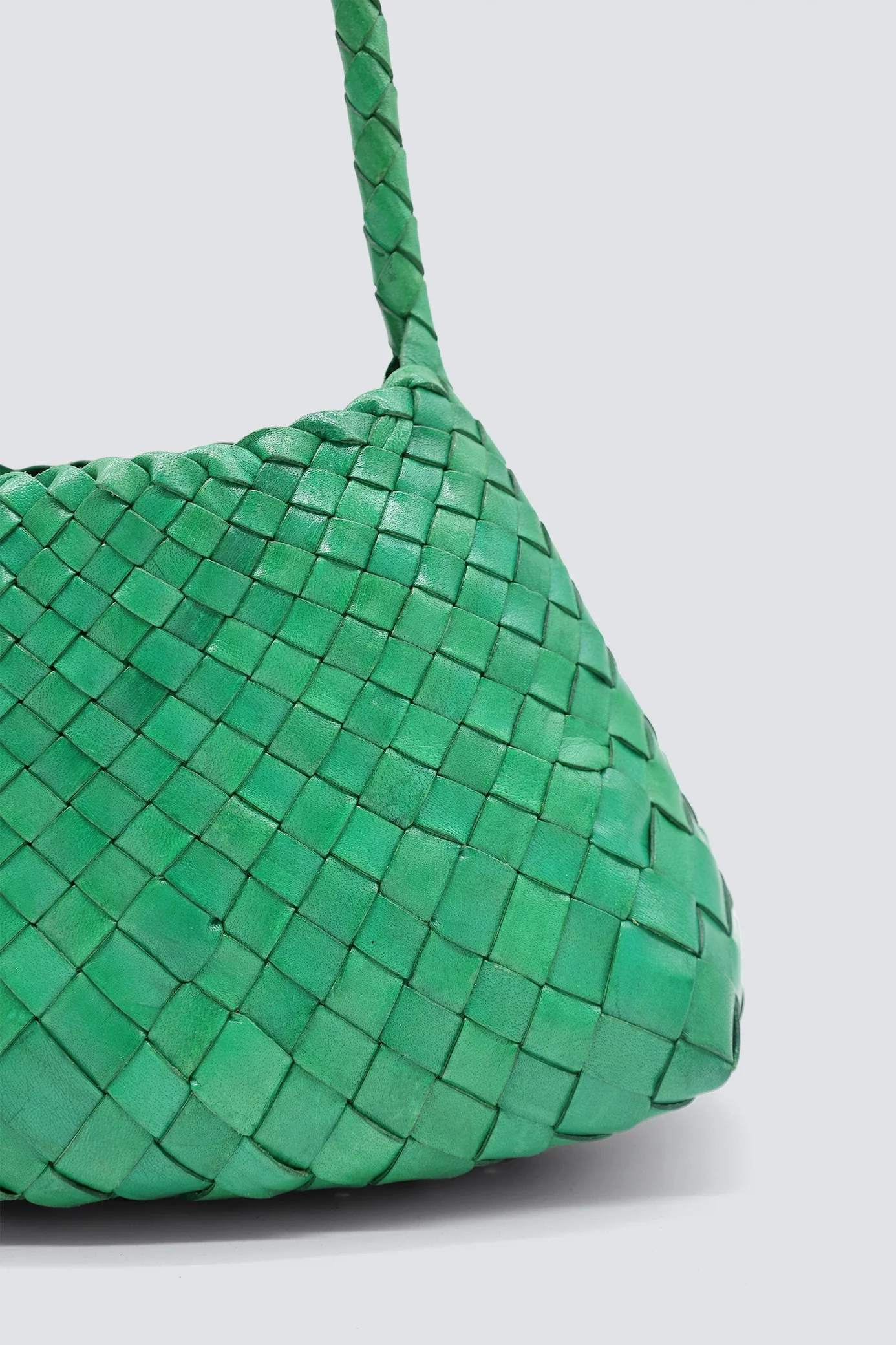 Rosanna Parrot Green - Image 5