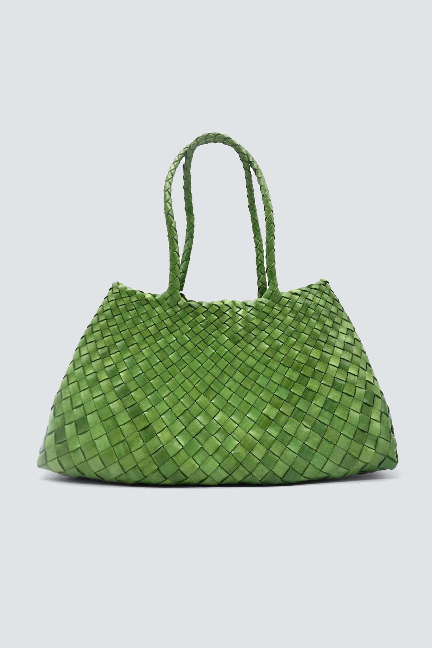 Santa Croce Big Leaf Green